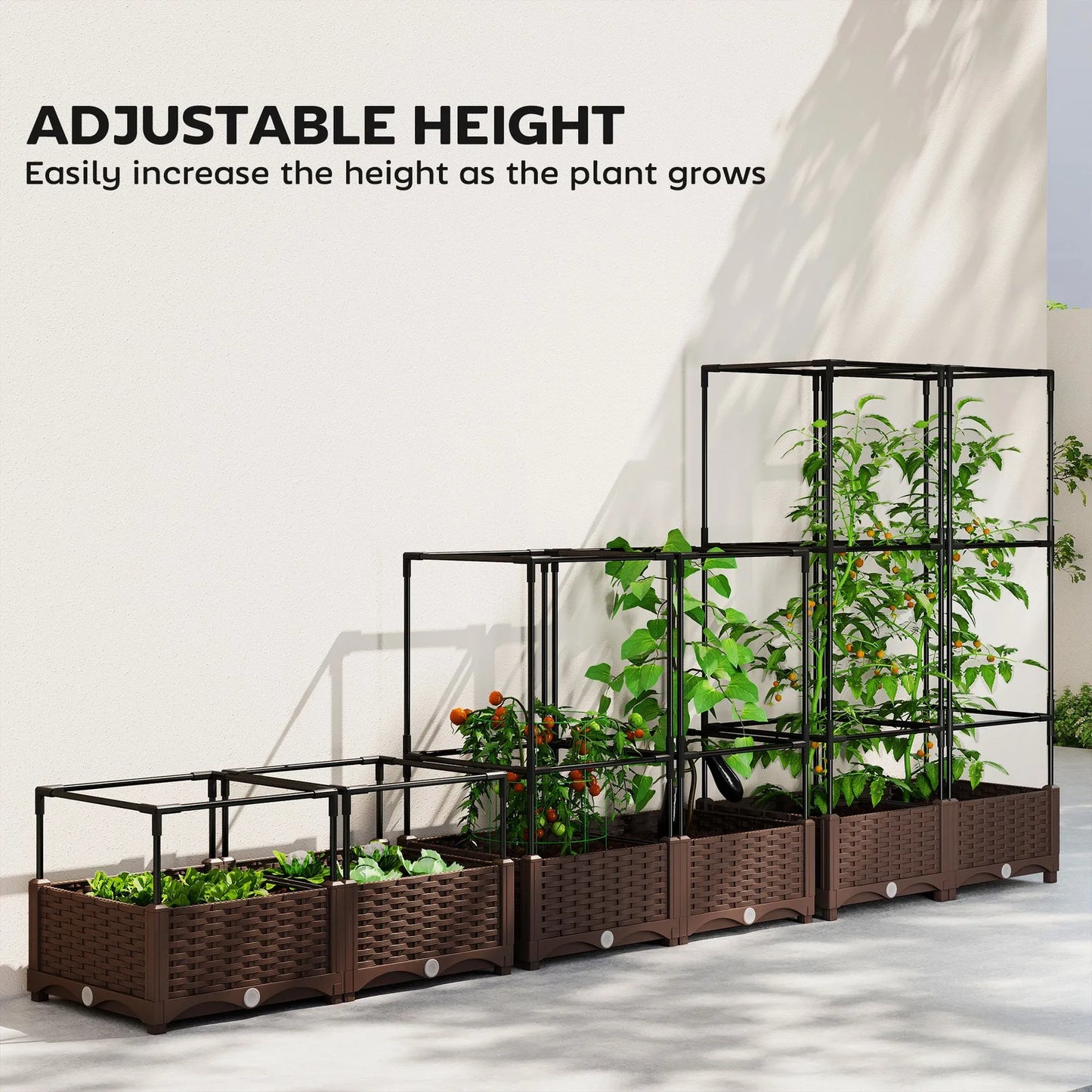 Raised Garden Bed With Trellis Tomato Cage And Crop Cage