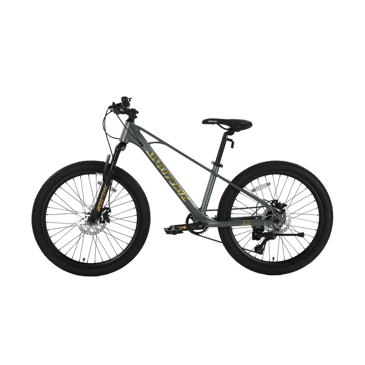 Spatial Hardtail Mountain Bike With Eight Speed Disc Brakes