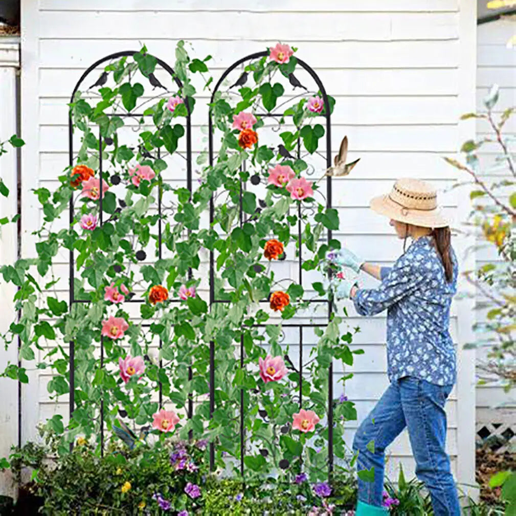Metal Garden Trellis Fence Anti Rust For Climbing Plants