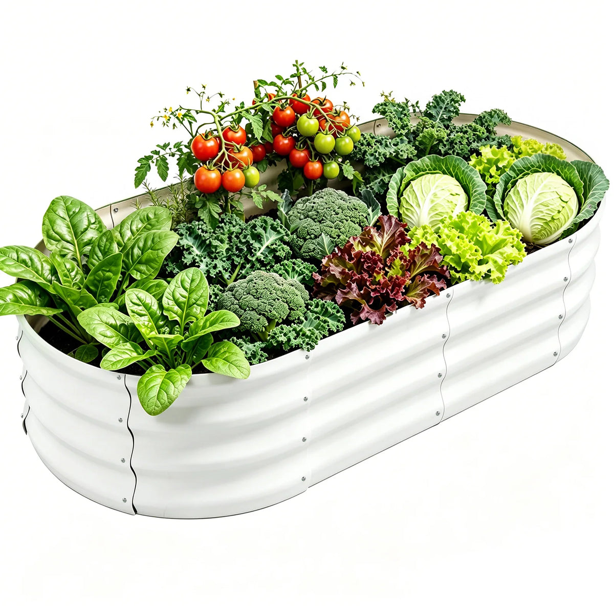 Galvanized Raised Garden Bed Outdoor, Large Raised Bed for Gardening 4×2×1FT Metal Planter Box for Vegetables, Fruits, Flowers, Easy Assembly with Wing Nuts & Safe Rolled Design, Silver/Light Green/ Black/Creamy