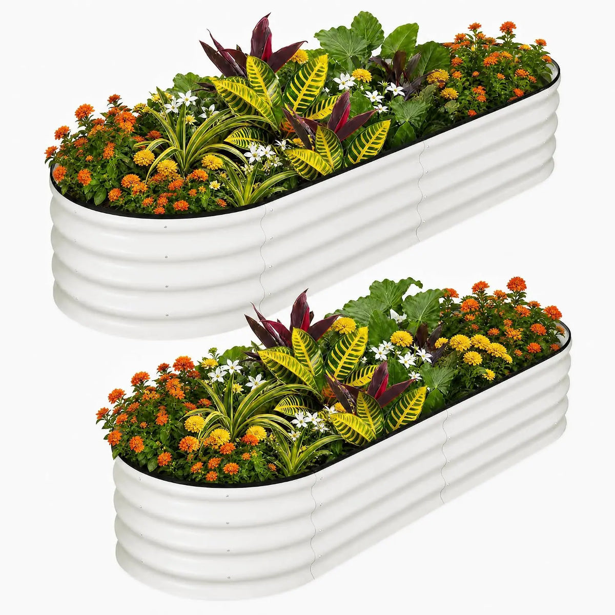 Tacleekii 6X3X1FT Oval Galvanized Raised Garden Beds 2 Pack Metal Raised Bed for Gardening, Large Outdoor Planters with Safety Edge for Vegetables Flowers Fruits
