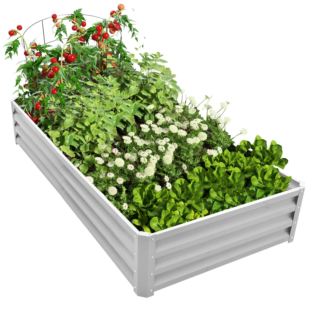 6×3×1ft Galvanized Metal Raised Garden Bed, 2FT Deep Root Elevated Planter Box Steel Large Vegetable Flower Bed Kit Light Green Silver Black