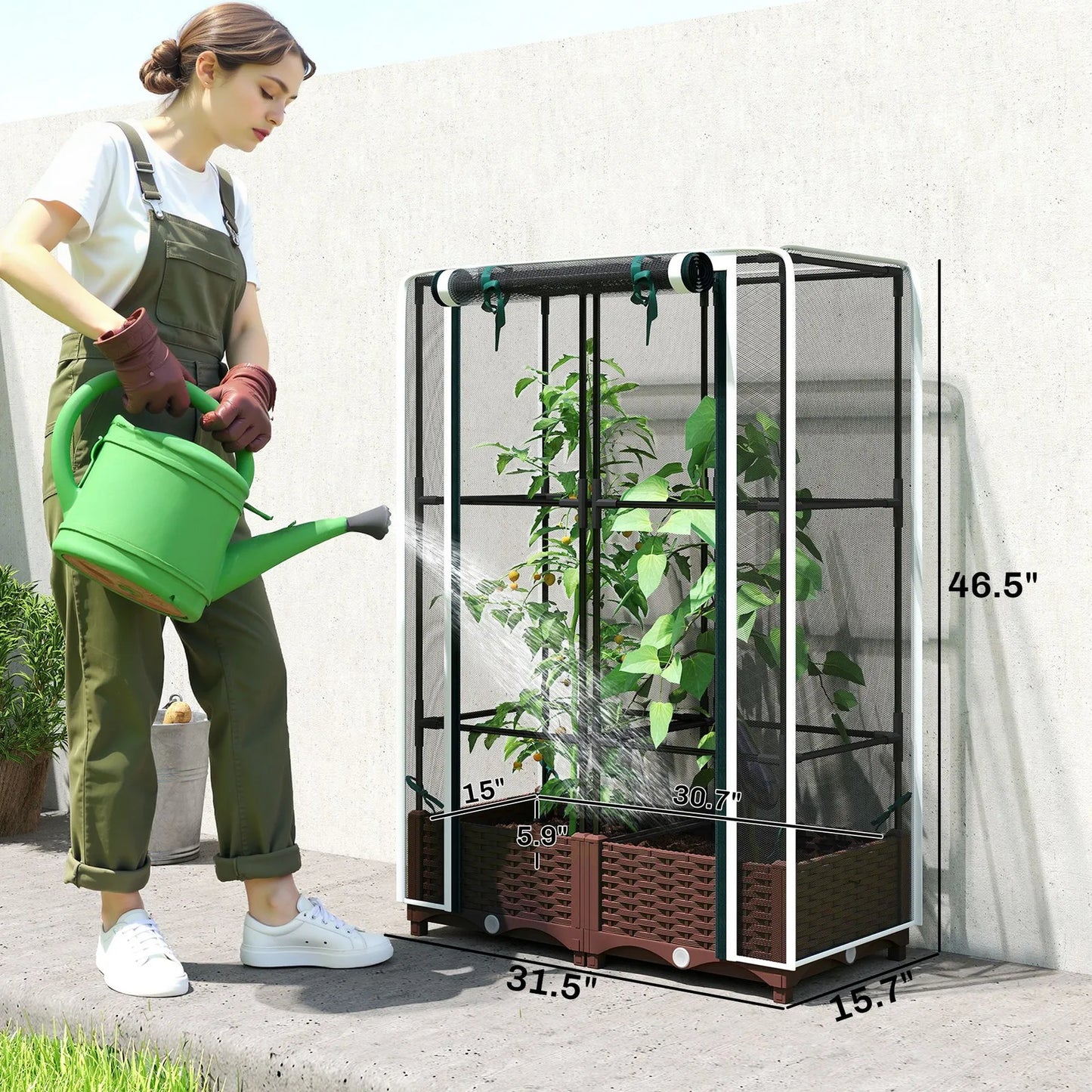 Raised Garden Bed With Trellis Tomato Cage And Crop Cage