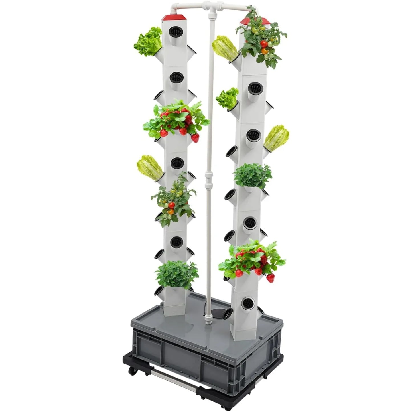 56 Pods Indoor Garden Hydroponics Growing System,Plant Germination Kit Aeroponic Veggie Flower Fruit Growth Pump System for Home