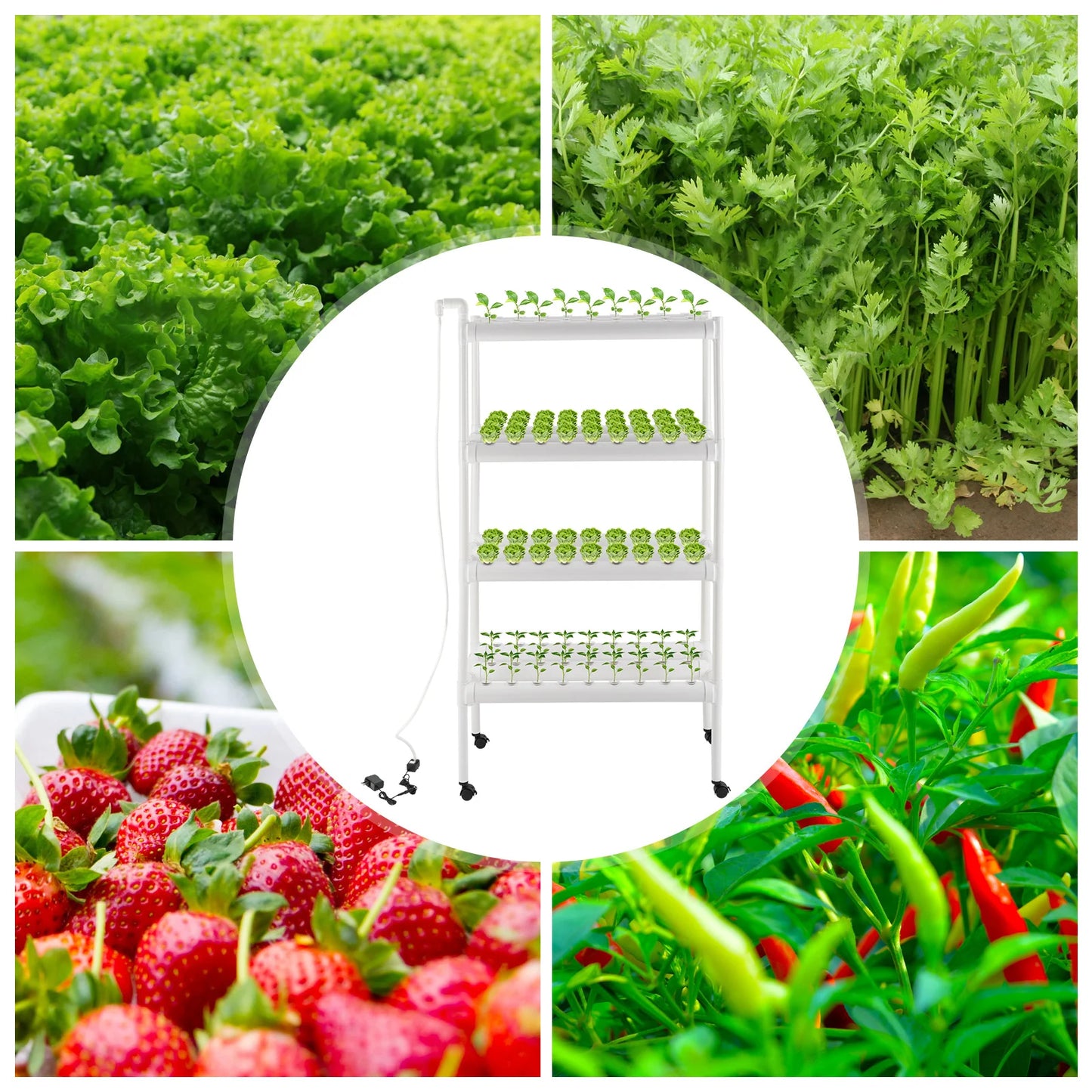 4 Tiers Hydroponic Grow Kit, Hydroponic Planting Equipment with 108 Plant Sites, Hydroponic Growing System with Footmat & Pulley