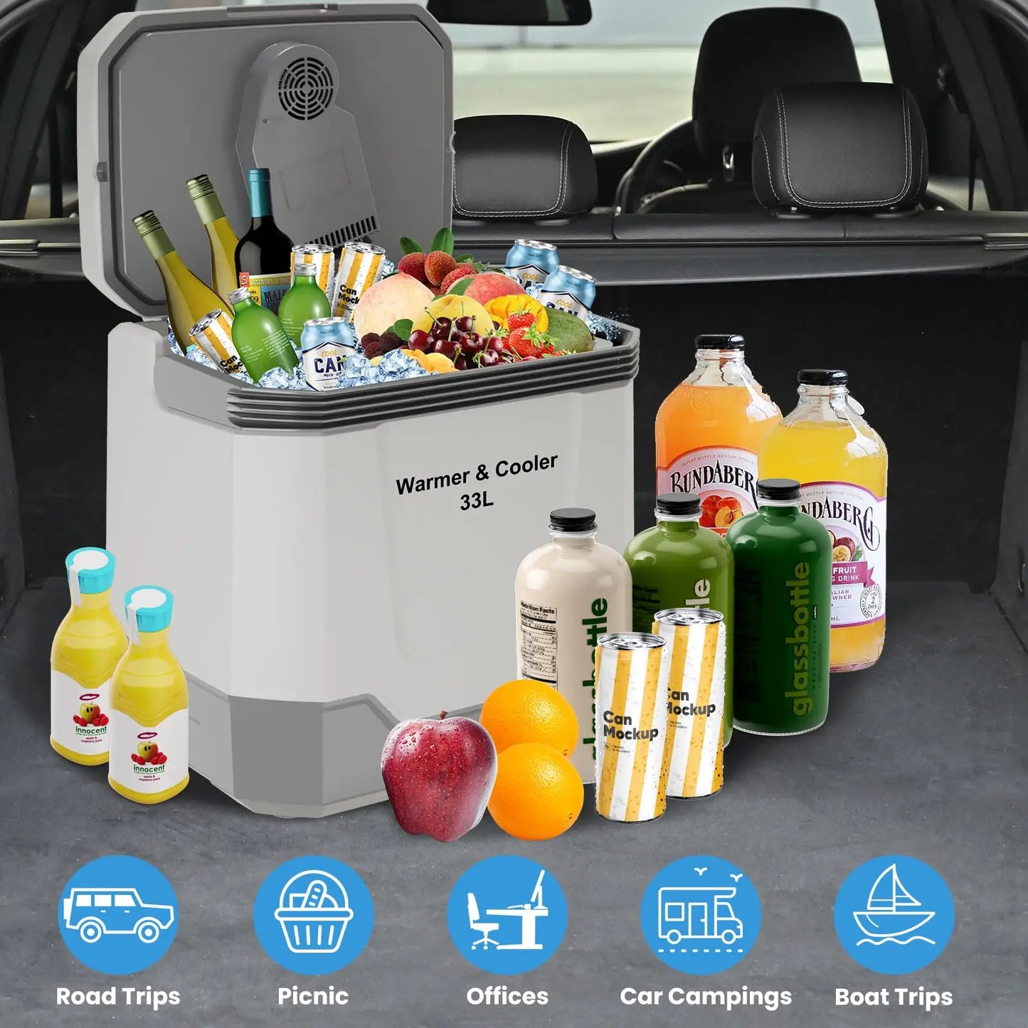 HobbyLane Portable Electric Cooler Warmer 12V 110V Car Travel