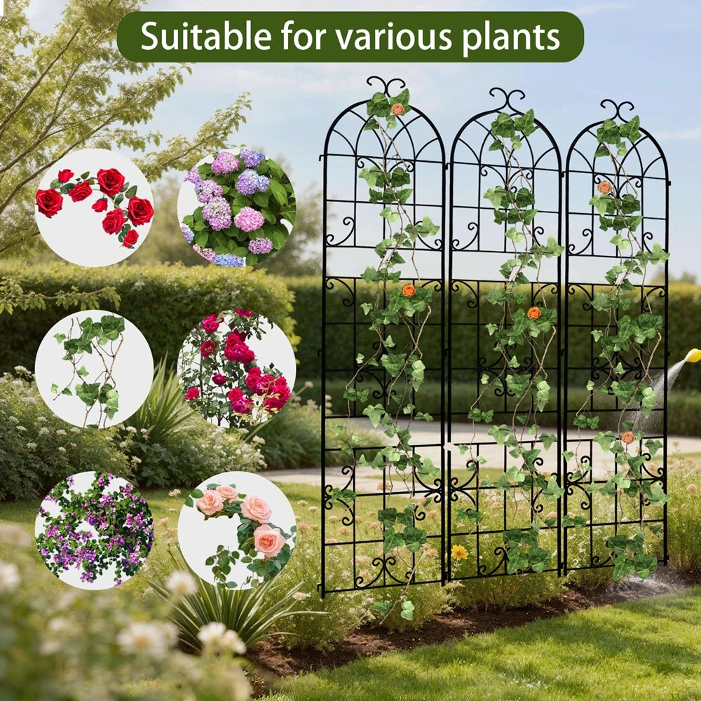 Three Pack Rustproof Tall Metal Garden Trellis For Climbing Plants And Vines