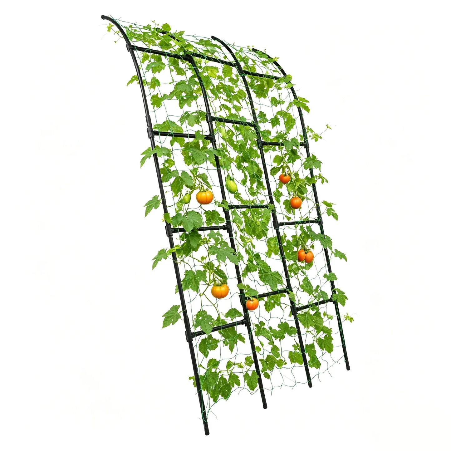 Metal Garden Arch Trellis 80*90*210CM Vegetable Plant Climbing Frame for Wedding Party Climbing Plant Outdoor Indoor