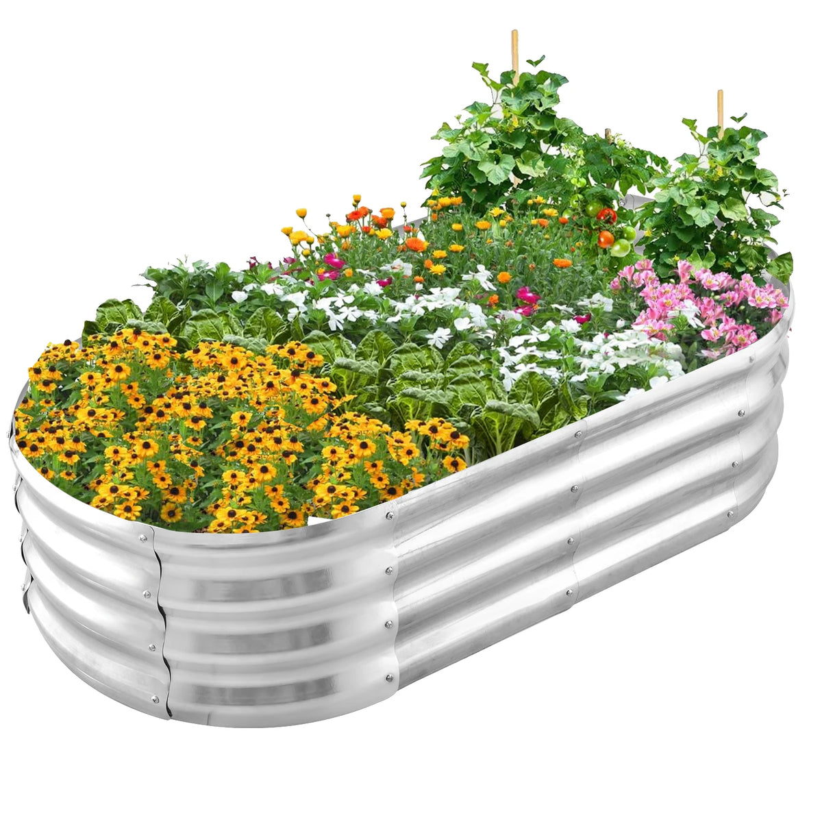 Galvanized Raised Garden Bed Outdoor, Large Raised Bed for Gardening 4×2×1FT Metal Planter Box for Vegetables, Fruits, Flowers, Easy Assembly with Wing Nuts & Safe Rolled Design, Silver/Light Green/ Black/Creamy