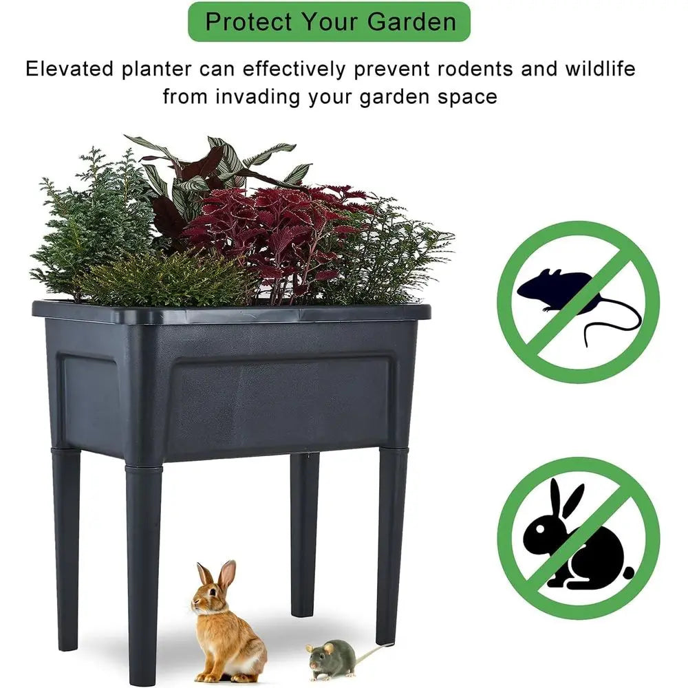 Plastic Elevated Garden Beds 4 Piece Set Flowers Veggies Herbs