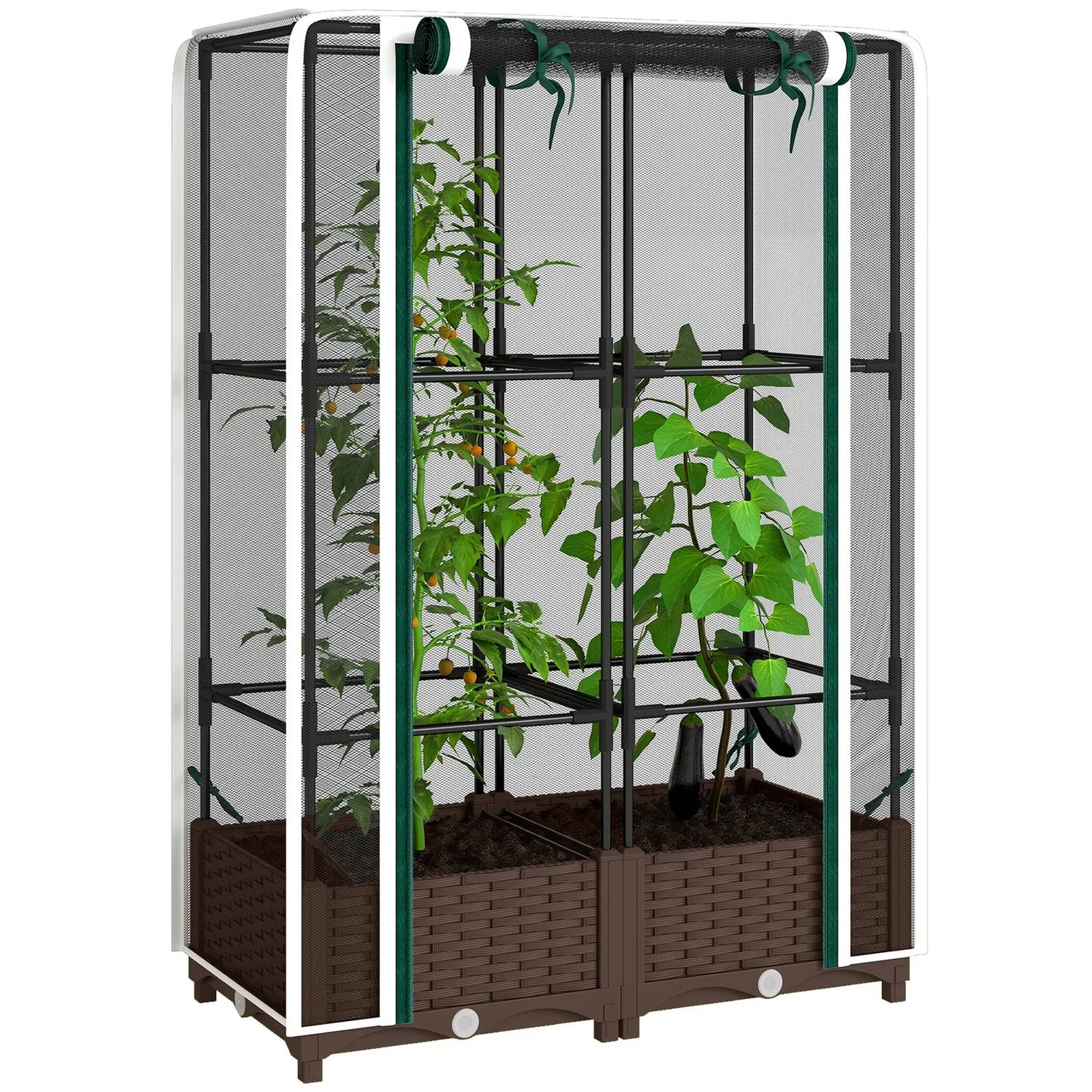 Raised Garden Bed With Trellis Tomato Cage And Crop Cage