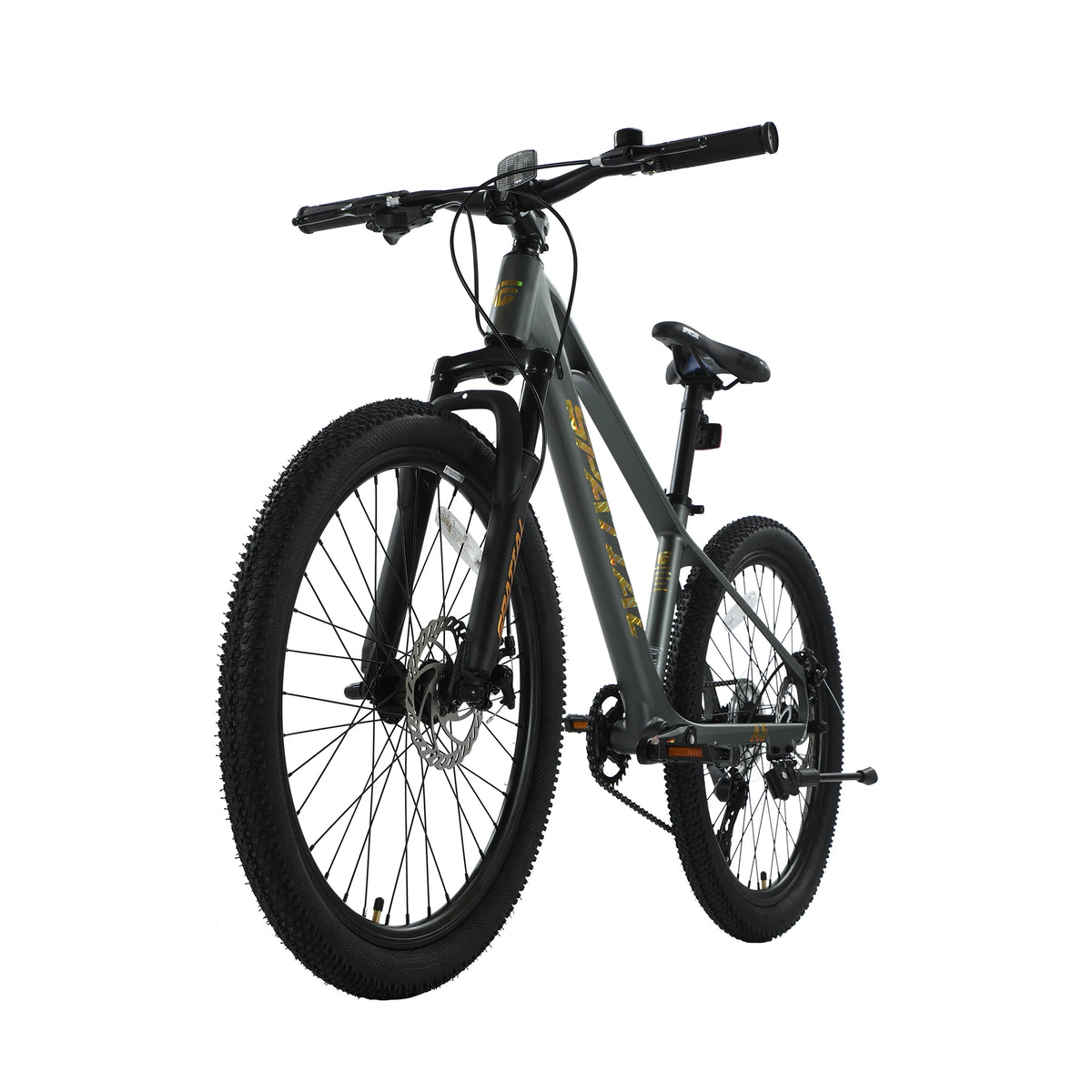 Spatial Hardtail Mountain Bike With Eight Speed Disc Brakes