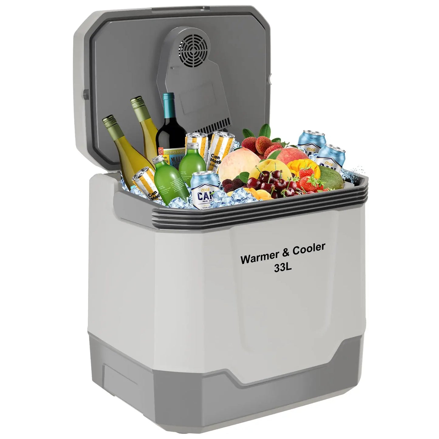 HobbyLane Portable Electric Cooler Warmer 12V 110V Car Travel