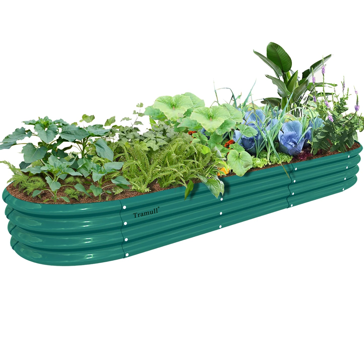 Tramull Galvanized Raised Garden Bed Outdoor Planter For Vegetables