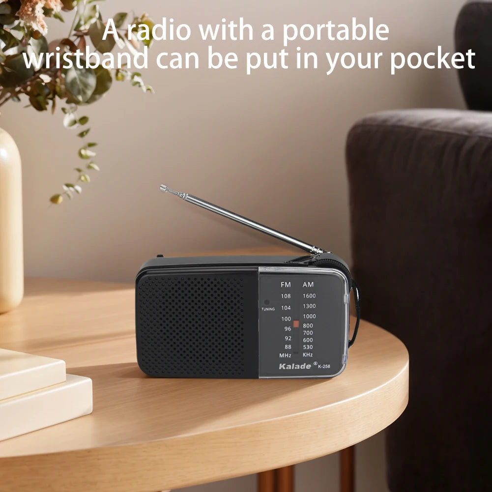Portable AM FM Radio With Built In Speaker For Elderly Emergency Weather Alerts