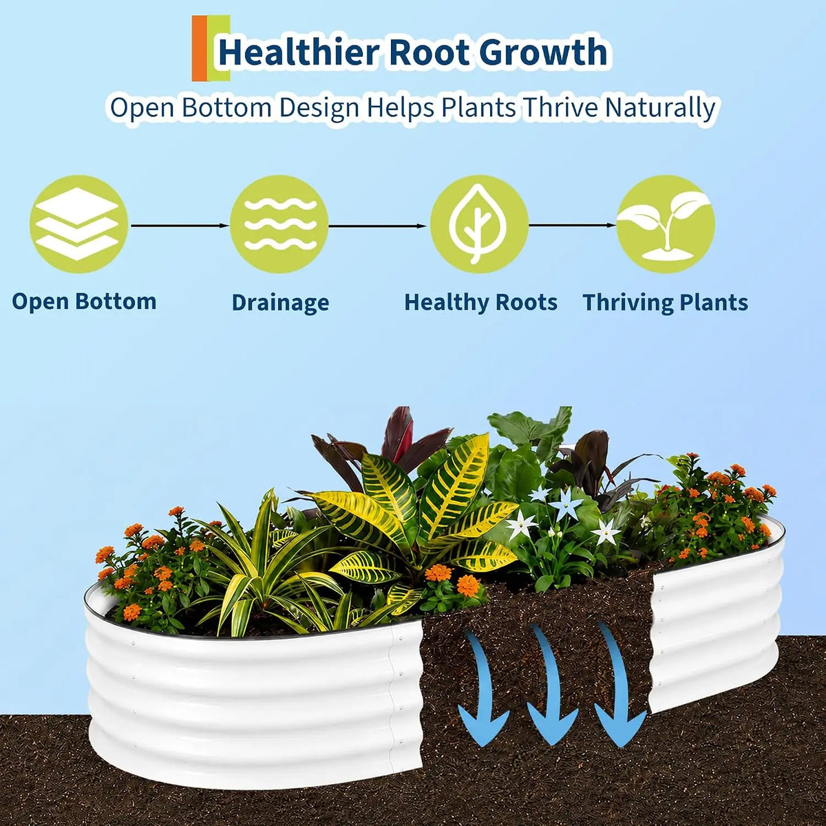 Tacleekii 6X3X1FT Oval Galvanized Raised Garden Beds 2 Pack Metal Raised Bed for Gardening, Large Outdoor Planters with Safety Edge for Vegetables Flowers Fruits