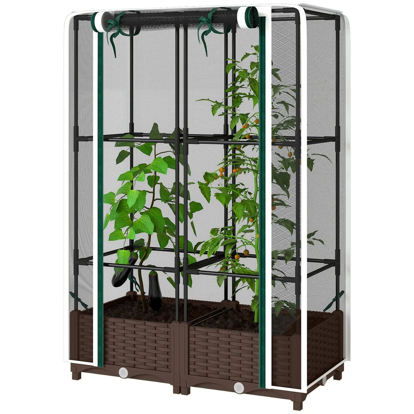 Raised Garden Bed With Trellis Tomato Cage And Crop Cage