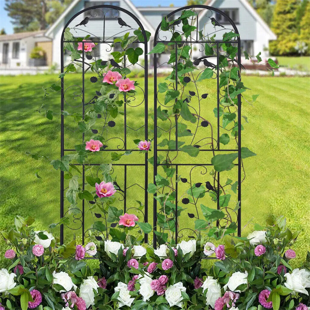 Metal Garden Trellis Fence Anti Rust For Climbing Plants